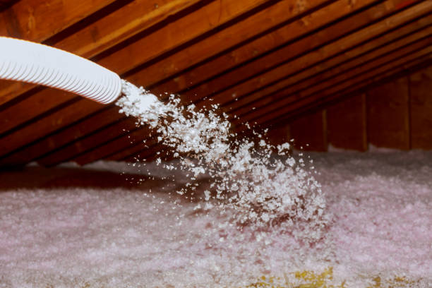 Best Eco-Friendly Insulation in Greenlawn, NY
