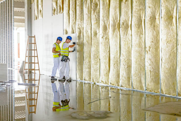 Best Fiberglass Insulation in Greenlawn, NY